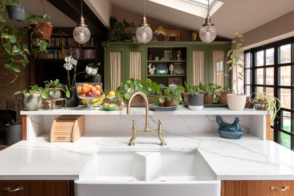 indoor plants kitchen